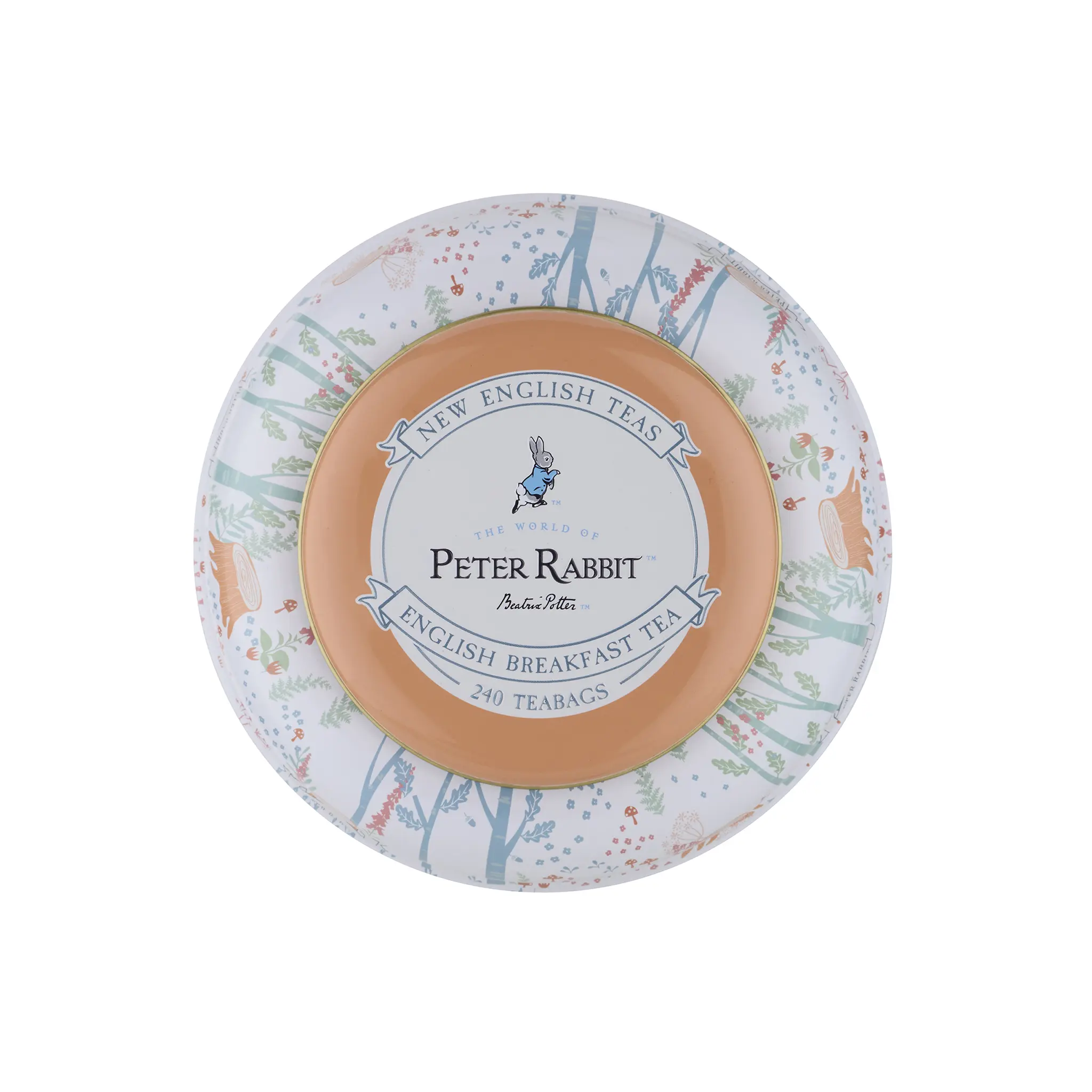 Beatrix Potter Deluxe Tea Caddy - Image 5