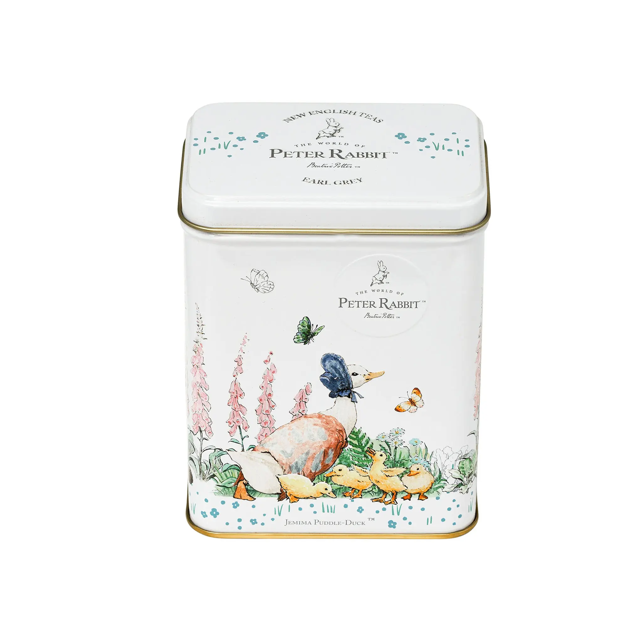 Beatrix Potter Portrait Tea Tin - Image 3