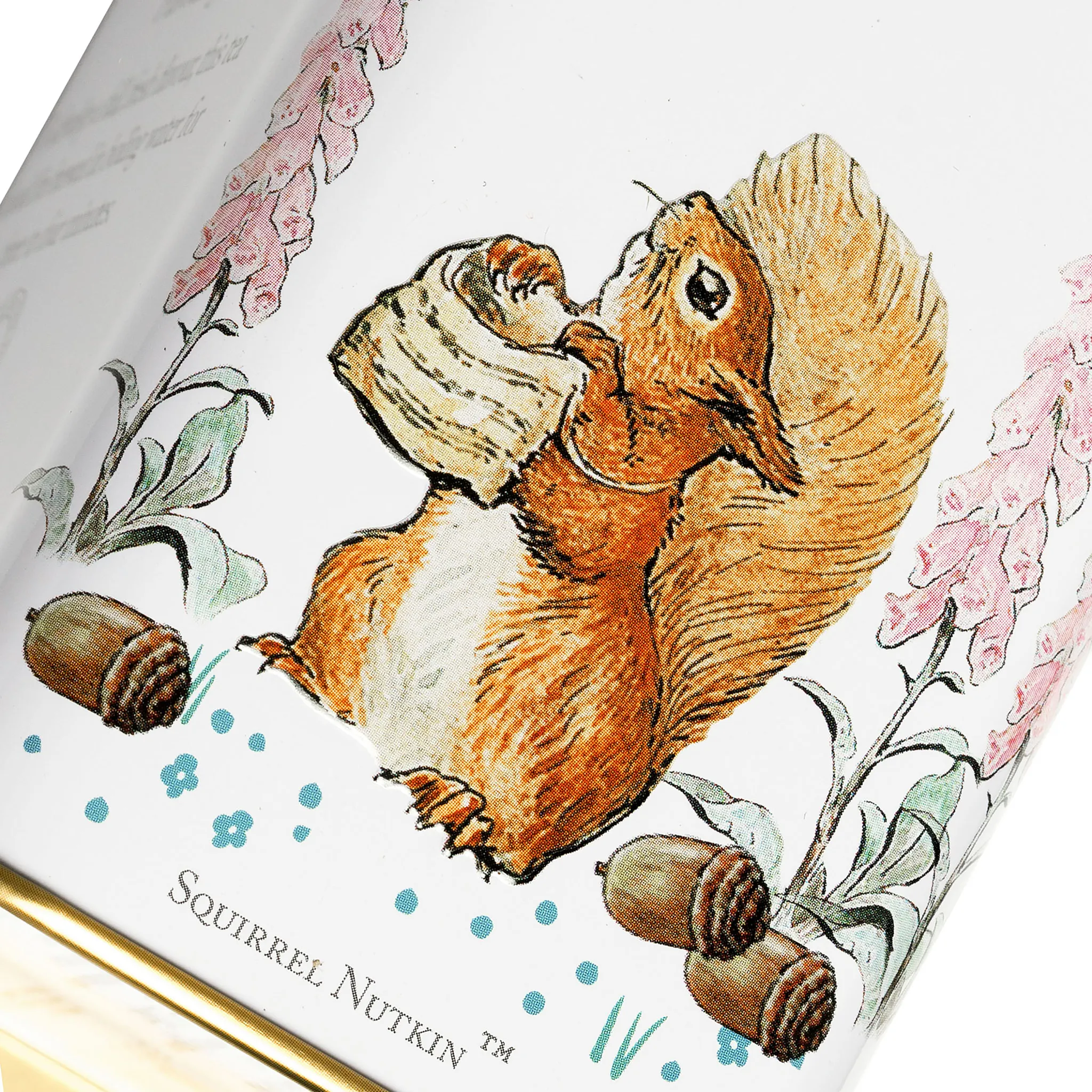 Beatrix Potter Portrait Tea Tin - Image 6