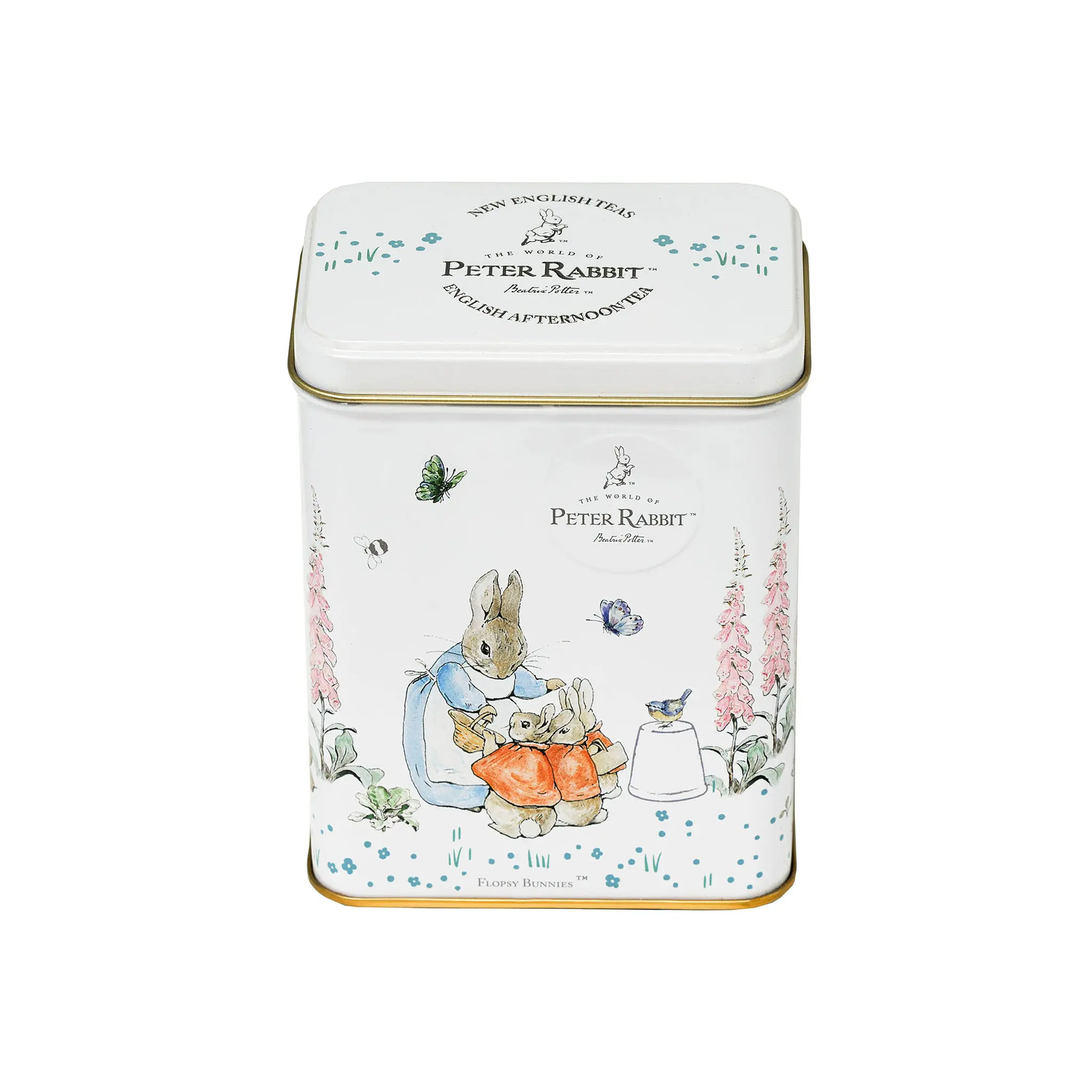 Beatrix Potter Portrait Tea Tin - Image 3