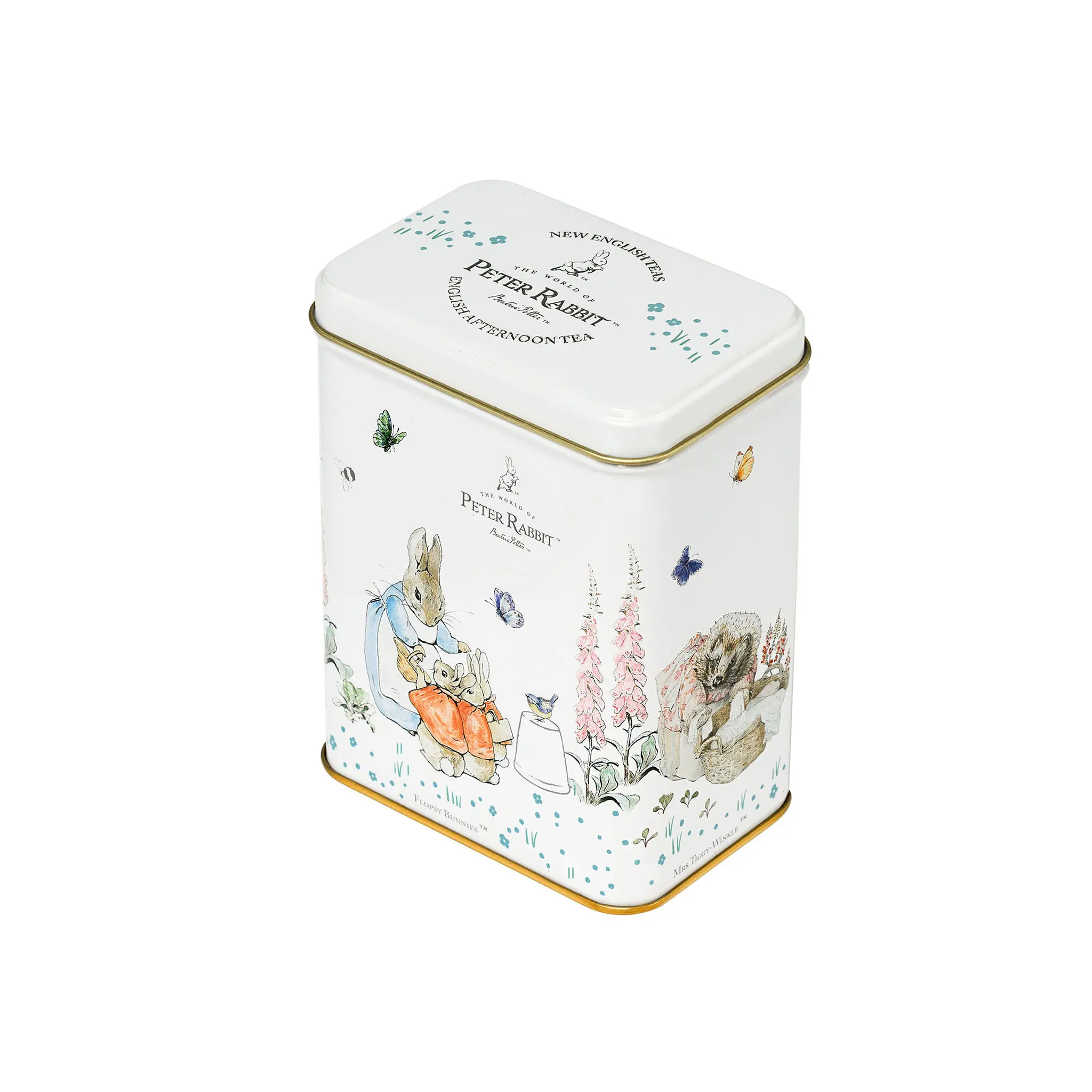 Beatrix Potter Portrait Tea Tin - Image 4