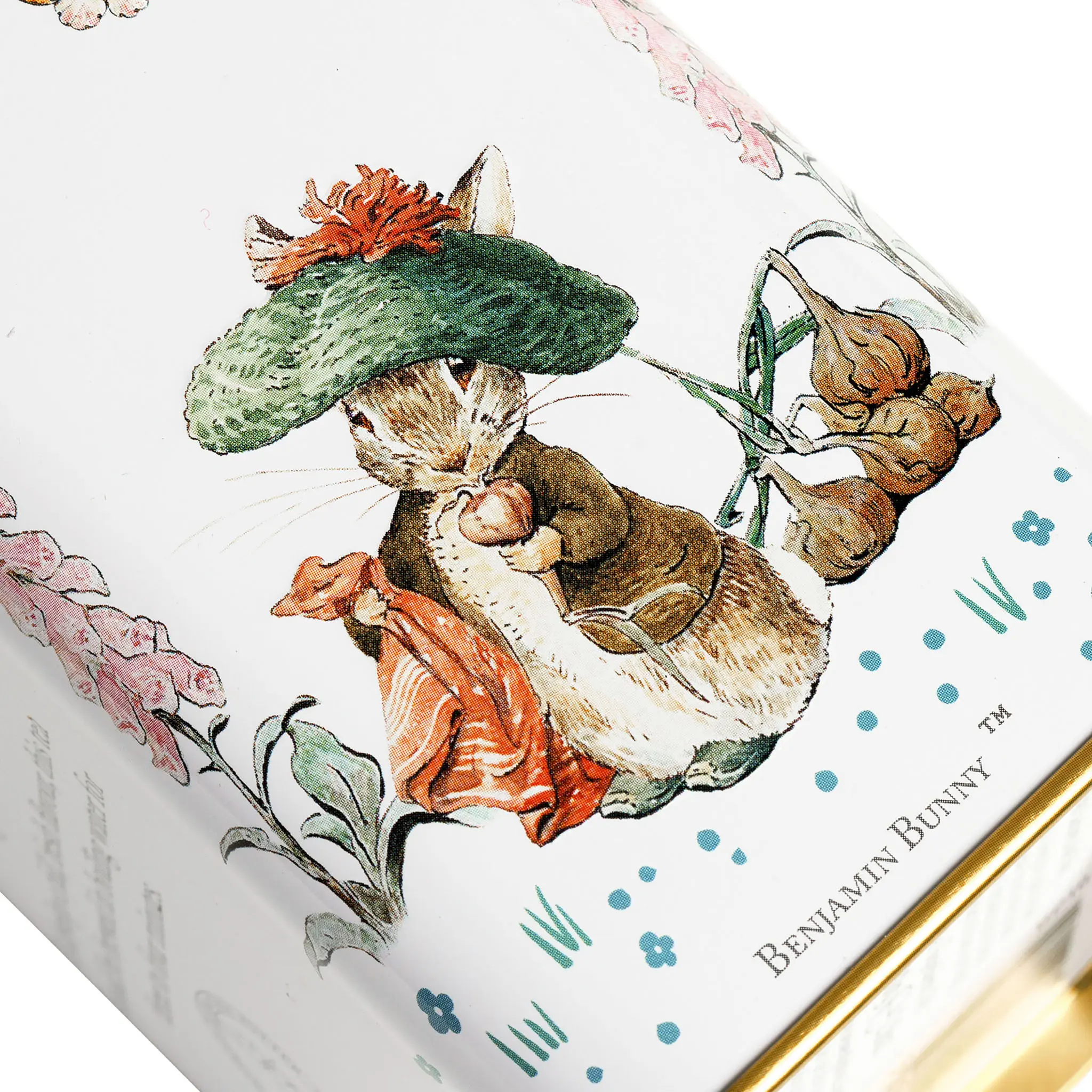 Beatrix Potter Portrait Tea Tin - Image 6