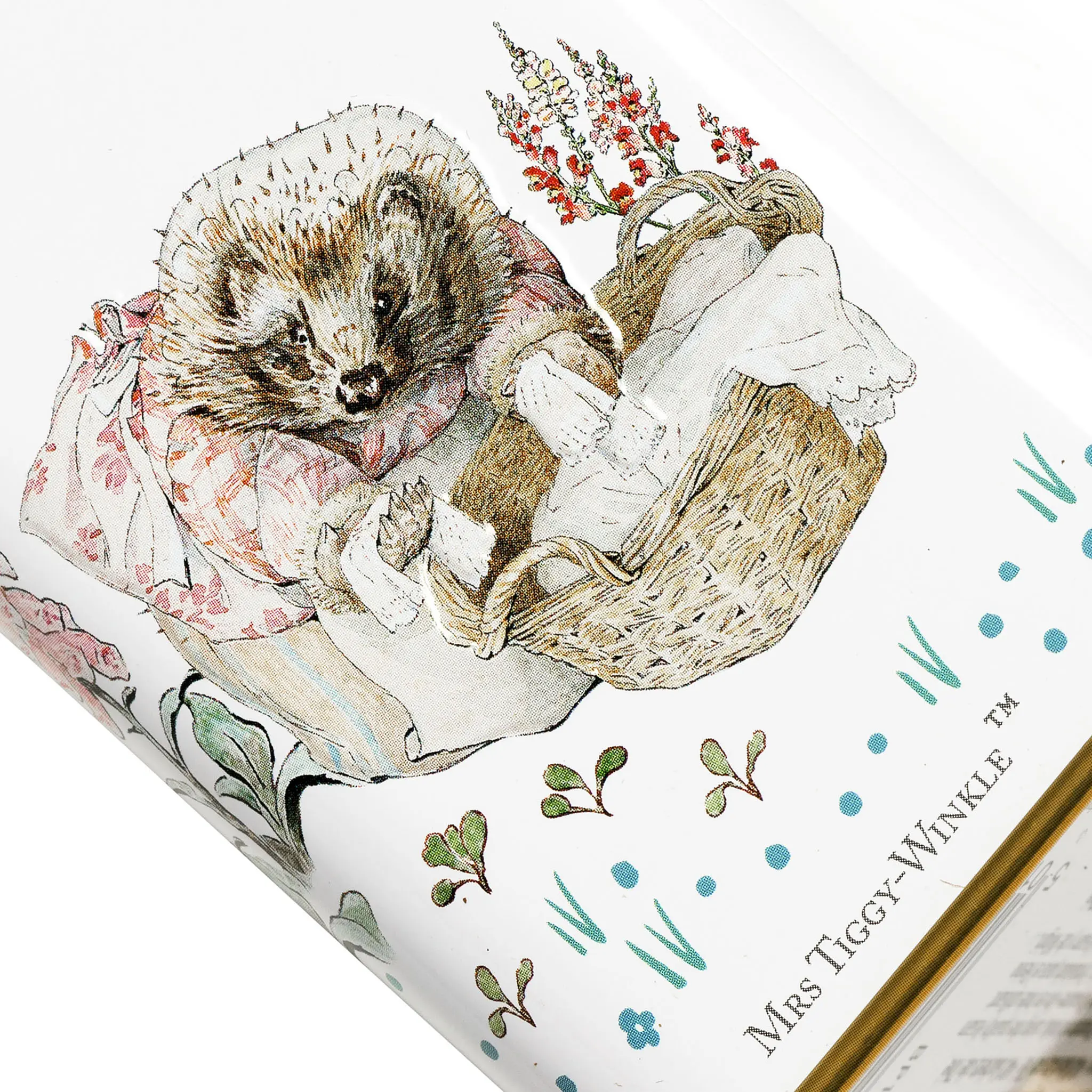 Beatrix Potter Portrait Tea Tin - Image 7