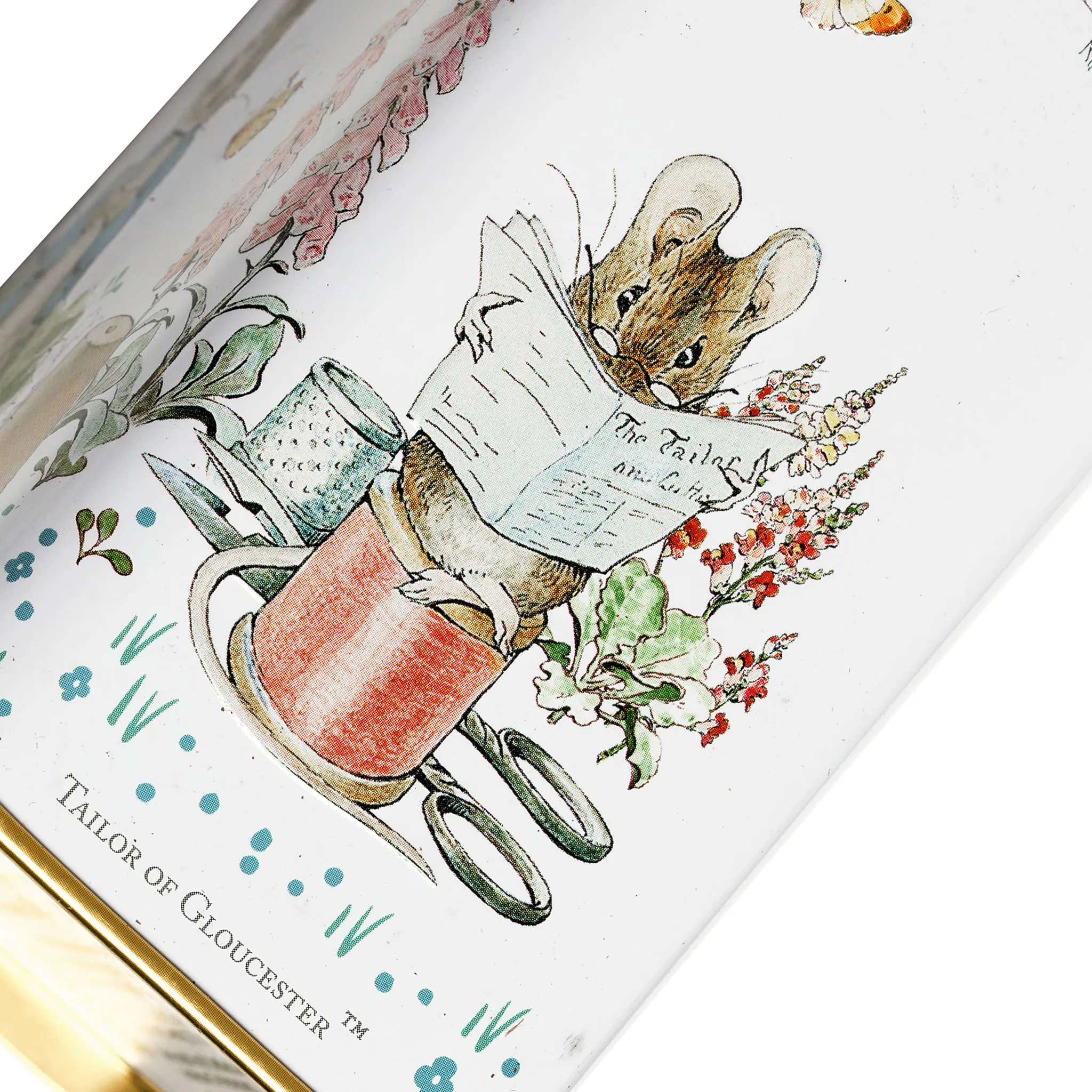 Beatrix Potter Portrait Tea Tin - Image 6