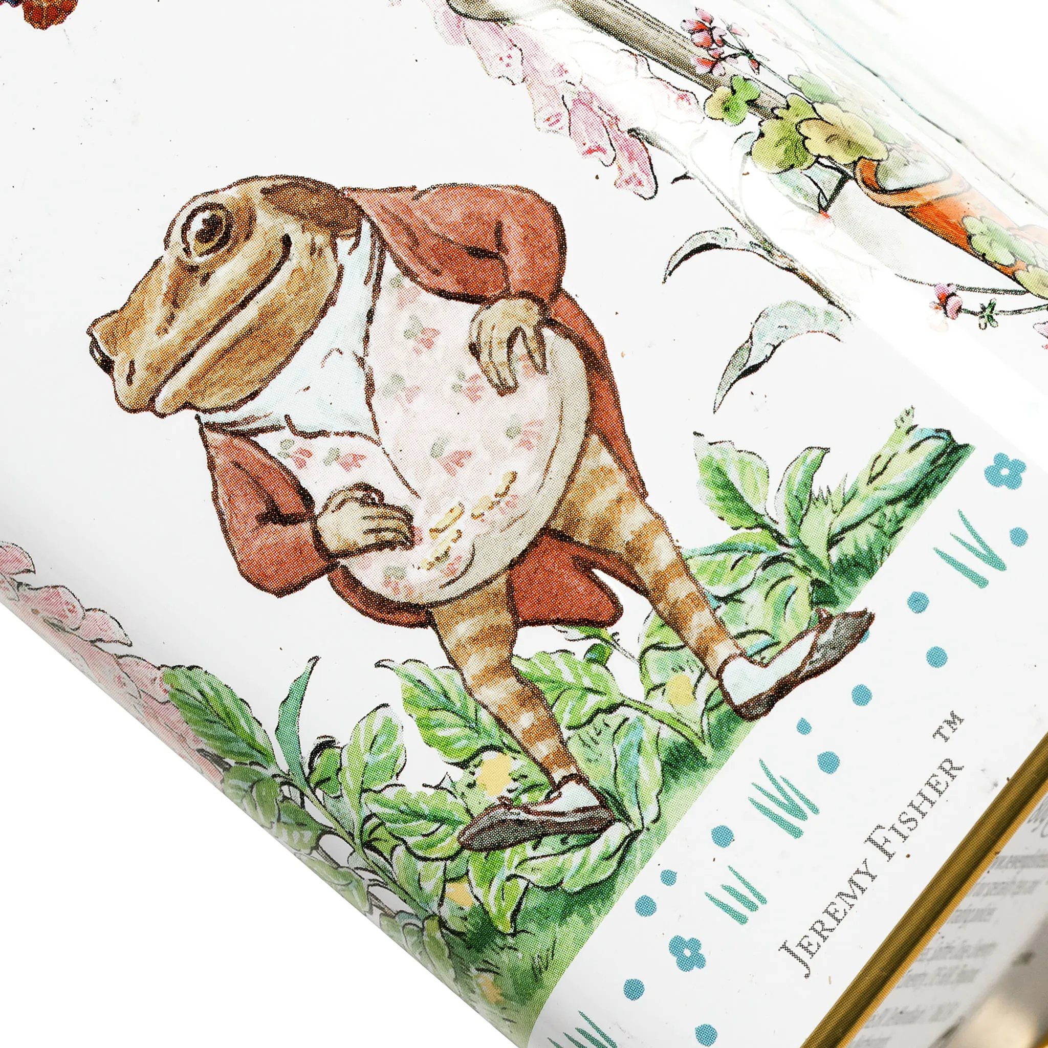 Beatrix Potter Portrait Tea Tin - Image 7