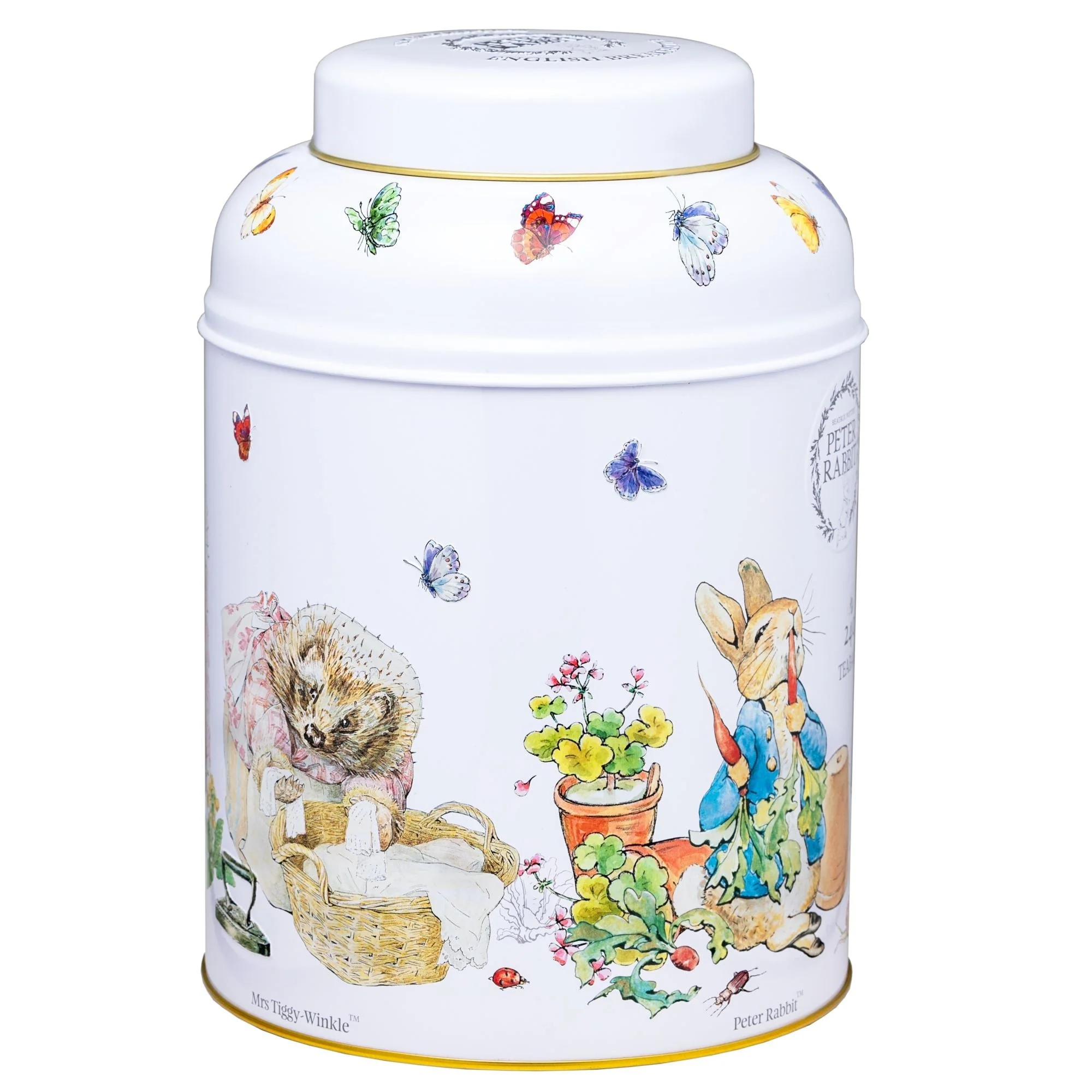 Beatrix Potter Deluxe Tea Caddy - Image 4