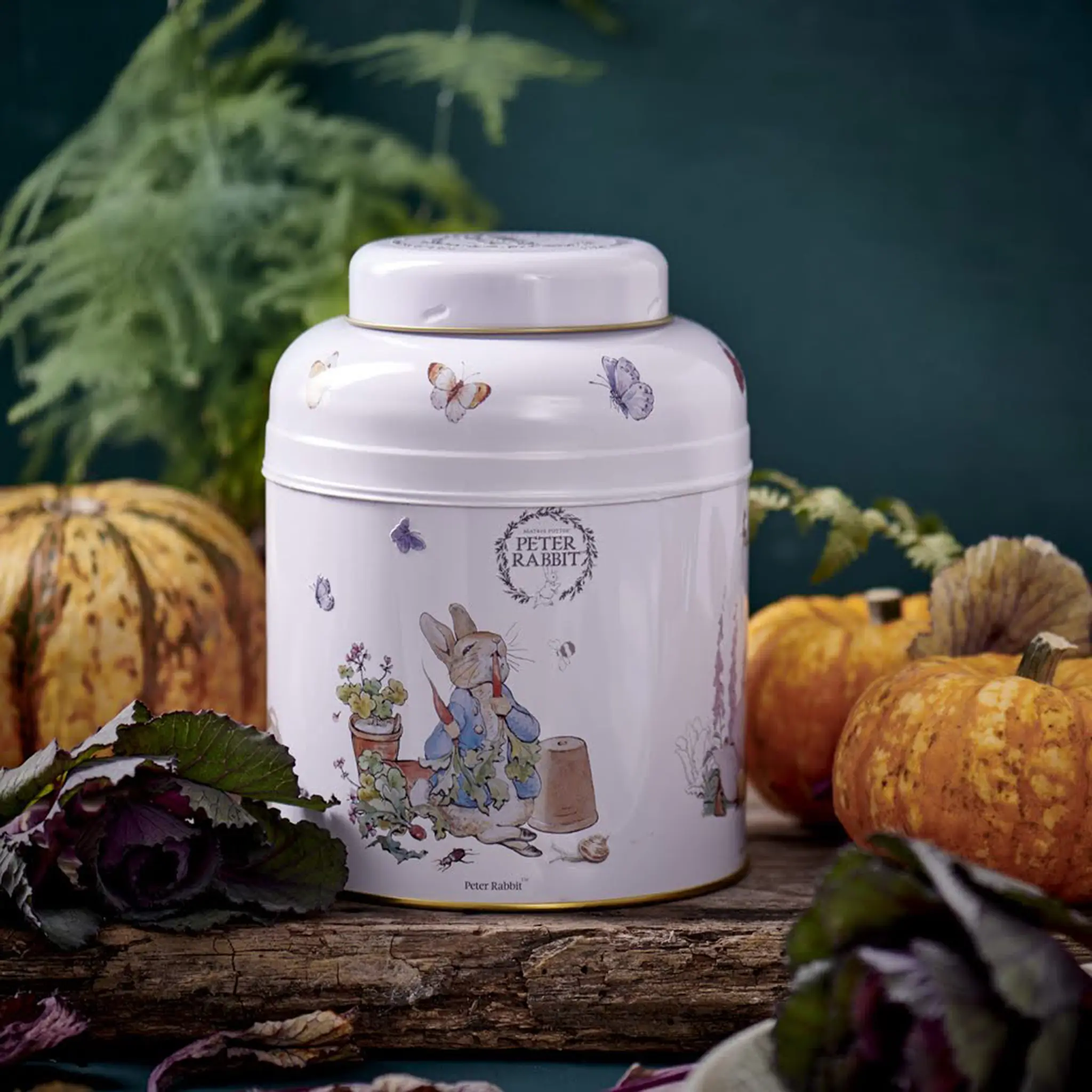 Beatrix Potter Tea Caddy - Image 3