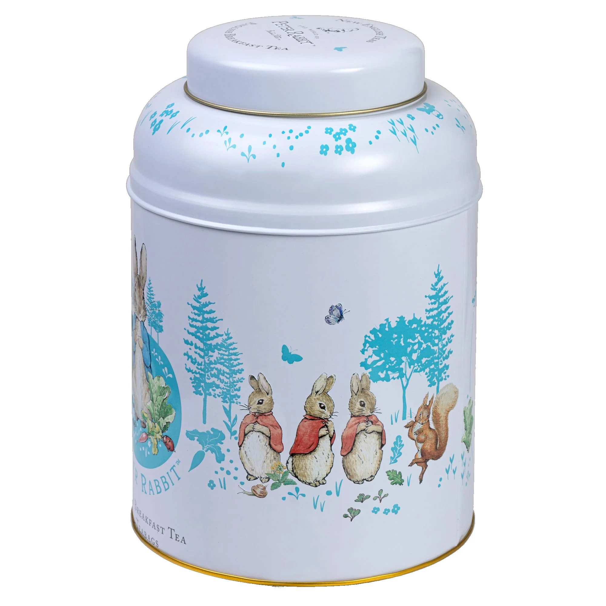 Beatrix Potter Deluxe Tea Caddy - Image 6